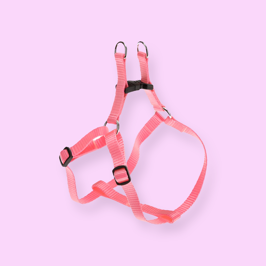 Cat Harness