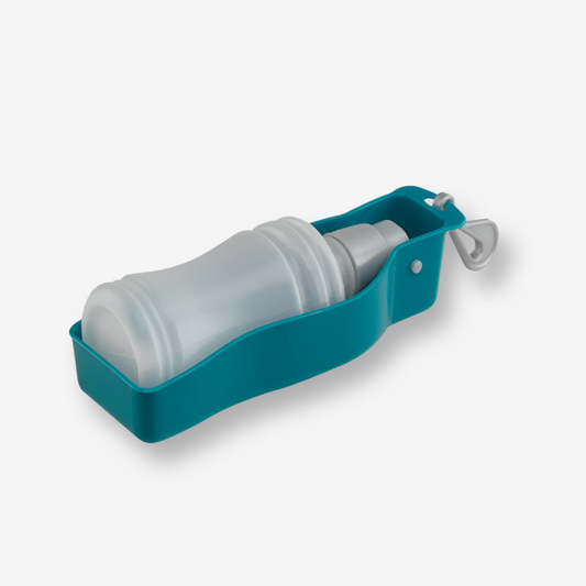 Travel Water Bottle